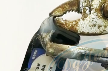 粘接橡膠材質用什么膠水?當然選無膠痕柔韌性好的橡膠快干膠水{聚力}