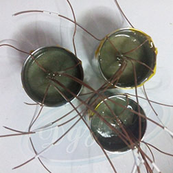 耐高溫金屬AB膠灌封測(cè)試